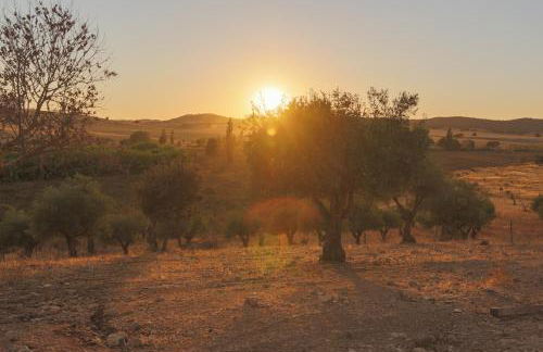 Monte Ribeira de Mures - Foto 26