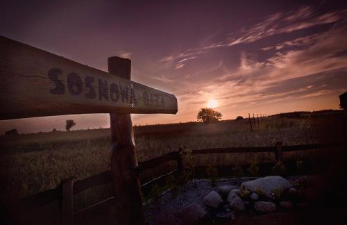 Sosnowa Oaza - Foto 12