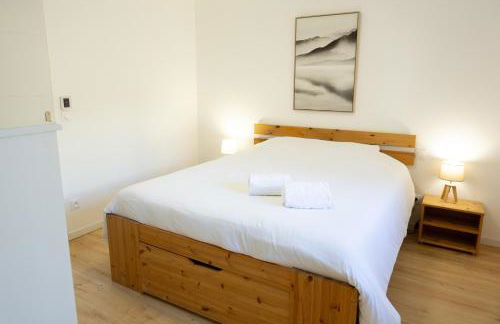 La Tour de l'Enversin - Foto 40