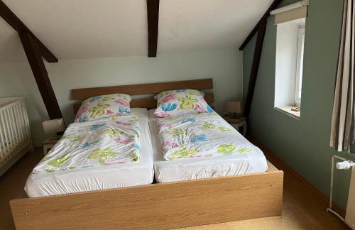 Eiderperle - Foto 62