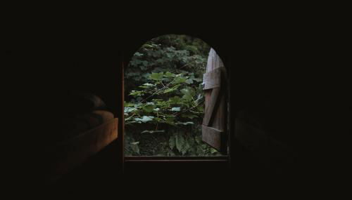 The Danish Cabin - Foto 4, Garden, Garden view