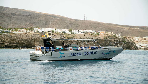 Morro Jable Dolphin & Whale Watching Trip - Foto 4