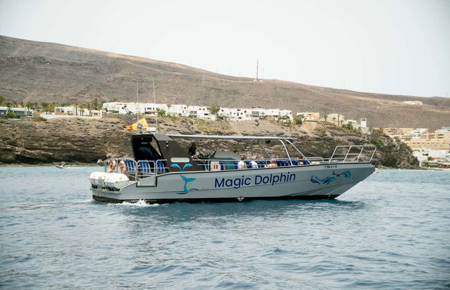 Morro Jable Dolphin & Whale Watching Trip - Foto 4