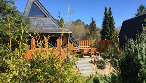 Eifelwaldhäuschen - Foto 2