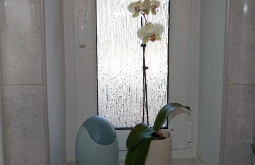 Kaszubiana direkt in der Natur - Photo 31