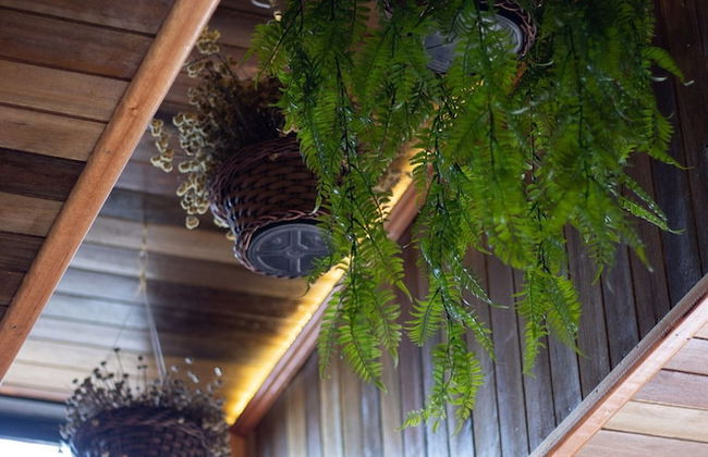 Montanha do Sol - Urubici - Foto 39