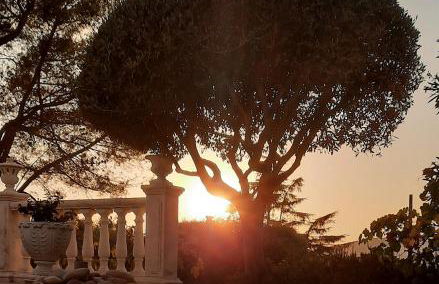 Gîte LES PINS climatisé piscine jardin parking - Foto 6