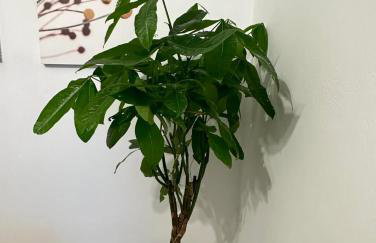 LaCasaCentrale - Foto 25