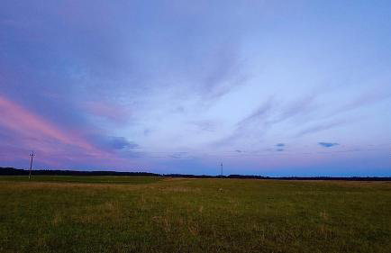 W Szczerym Polu - Foto 30