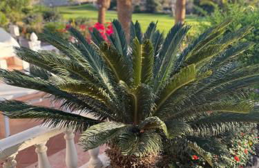 Ocean View Tenerife South Coast - Foto 3