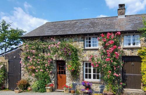 Little Forda - Foto 1