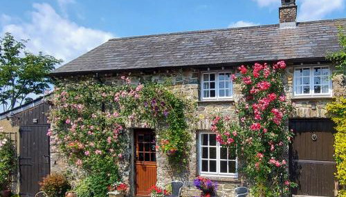 Little Forda - Foto 1