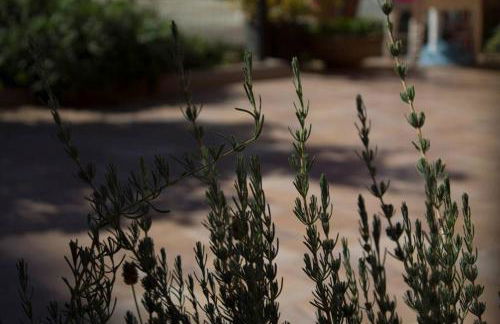 Casa del Sole - Foto 23