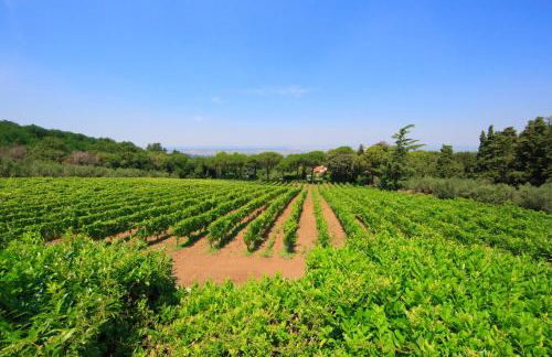 Frascati Country House - Foto 9