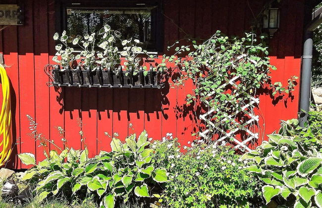 4 Person Holiday Home in Tjornarp - Foto 15