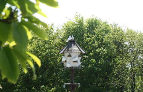 Cosy barn on rural smallholding with alpacas, goats & pigs - Foto 11