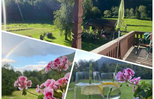 Hansenbauernhof inkl. Chiemgaukarte - Foto 26