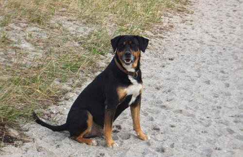 Ferienhaus Ebsen HH rechts - Foto 18