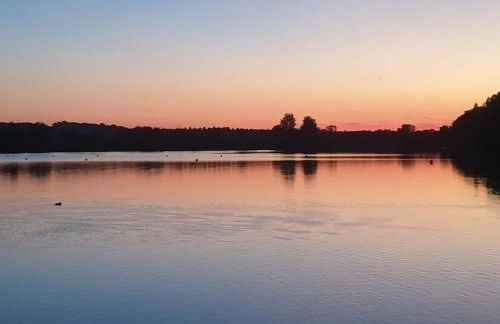 Cute Cottage with Pool at Marciac Lake - Photo 14