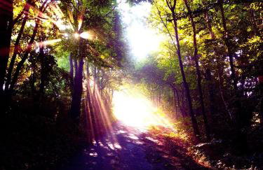 Michałówka Michaelhof - Foto 67