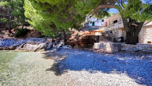 Robinson Borik - Foto 5