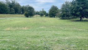 Bungalow im Grünen - Foto 5, Garden, Garden view