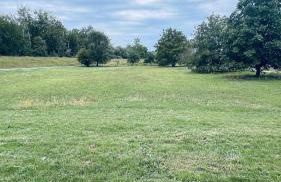 Bungalow im Grünen - Foto 5