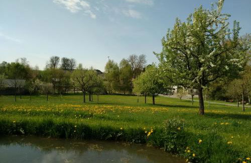 Austragshaus Almbranz - Foto 41