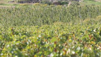 Villa Paolina - Foto 4