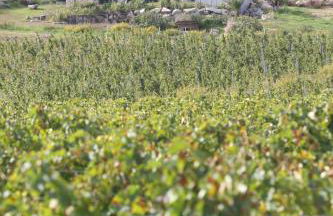 Villa Paolina - Foto 4