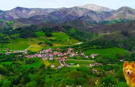 Casa rural el campu - Photo 23