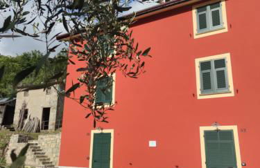 La Pezzuola 53 - Foto 3