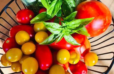 Az. Agricola Agriturismo Lo Schiucciolo - Foto 10