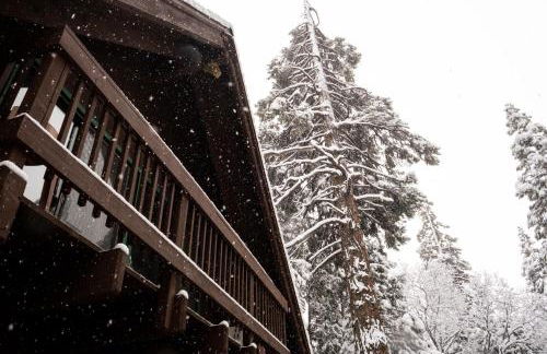A-Frame Cabin in The Sequoias - Foto 14