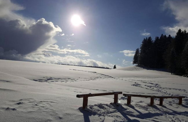 Ferienwohnung im Schwarzwald mit Garten - Foto 28