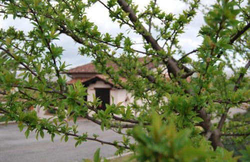 Agriturismo Torre Cristina - Foto 23