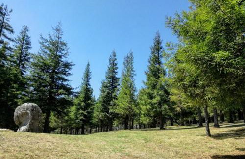 Casa Angelita terraza con hórreo y barbacoa - Foto 49