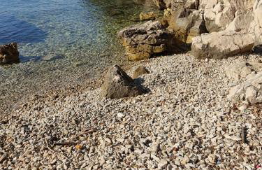 House Tuna - Foto 27