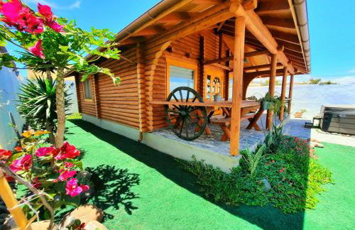 Wild House - Photo 53