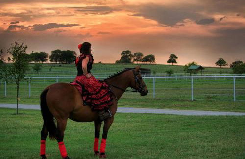 Pet-Friendly Accommodation on a Ranch in McDade, Texas - Foto 13