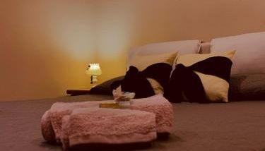 La Candida Rosa L T Anagni - Foto 4