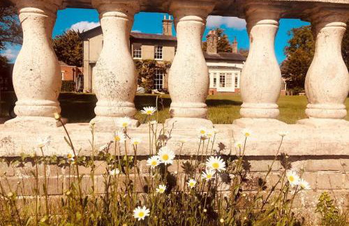 Somerleyton Meadows - Somerley House plus Hut & Hot Tub - Foto 35