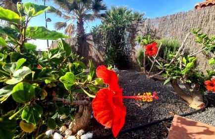 Green Ocean House - Origo Mare - Foto 20