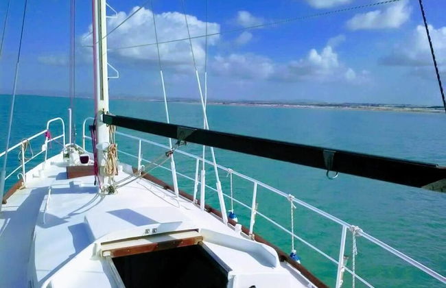 Free Estoria - Foto 9