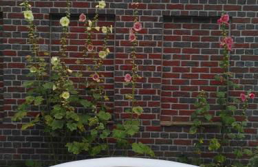 Nordsee Loft **** - Foto 15