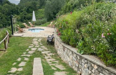 Leon Morto - Foto 13