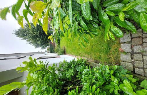 Ferienwohnung Buchholz - Photo 48