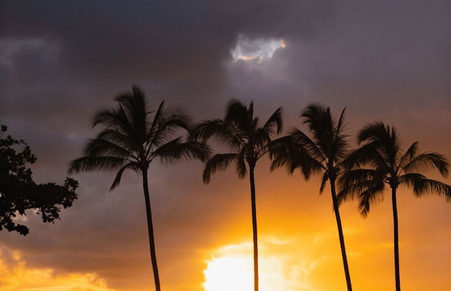 The Cliffs at Princeville - Foto 51