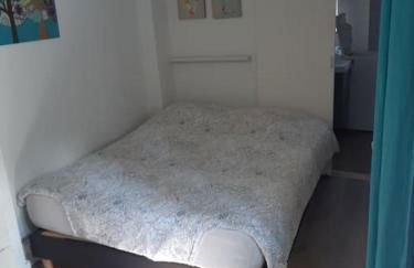 Bienvenue à Strasbourg - Krutenau - Foto 9