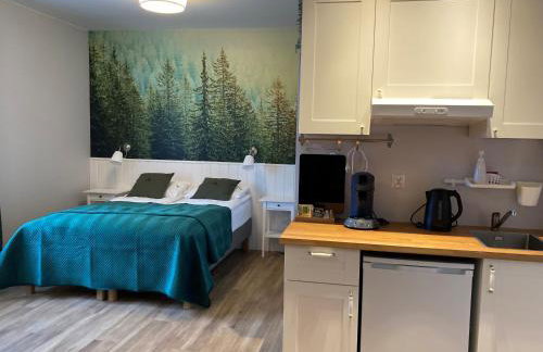 Apartamenty Black Lion - Foto 69